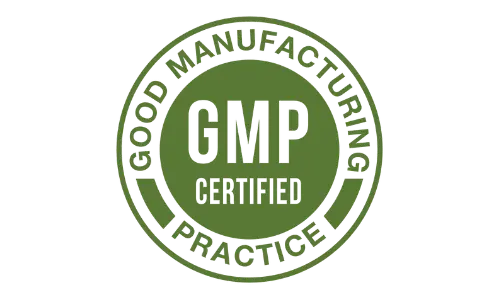 Fast Brain Booster - GMP Certified